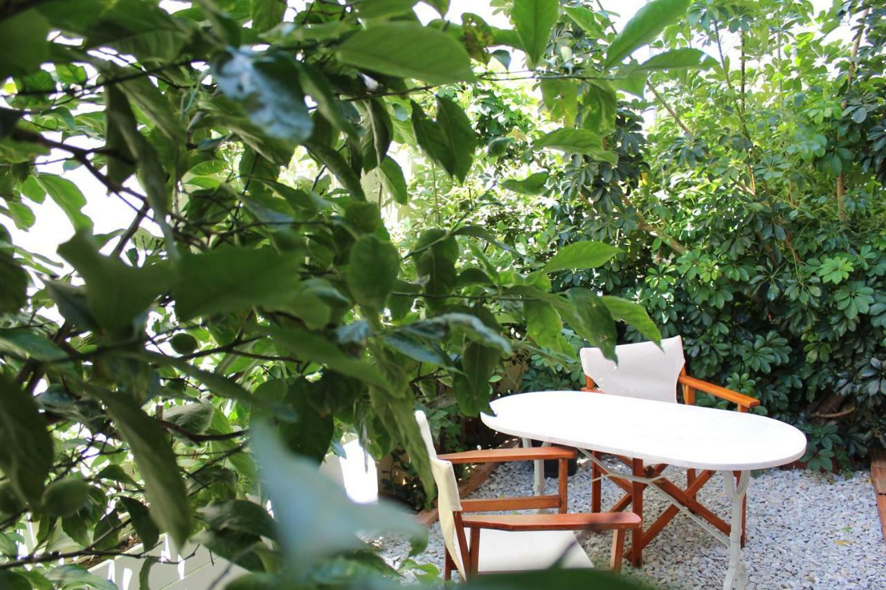 Antelia Homes Skiathos Town Ngoại thất bức ảnh